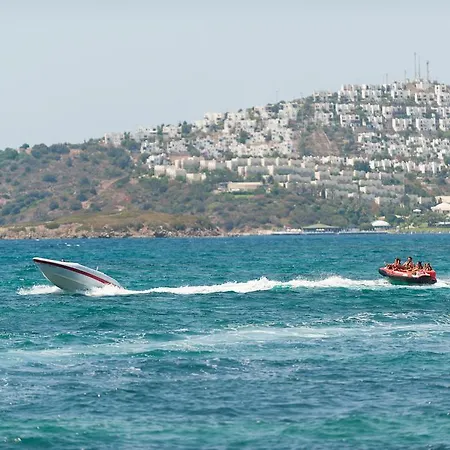Sundance Turgutreis