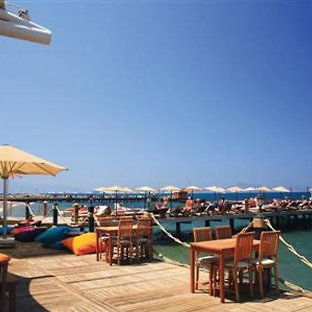 Sundance Turgutreis